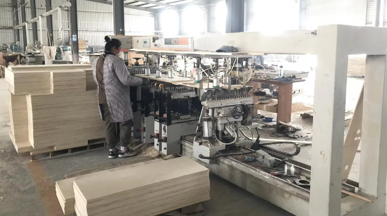 Qingdao Vitalucks Trade Co., Ltd. fabriek productielijn