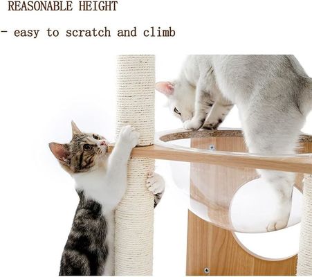 OEM ODM Geaccepteerd Elegant Katten Boom Ruimte Capsule met Drijvend Nest en Hangende Ballen