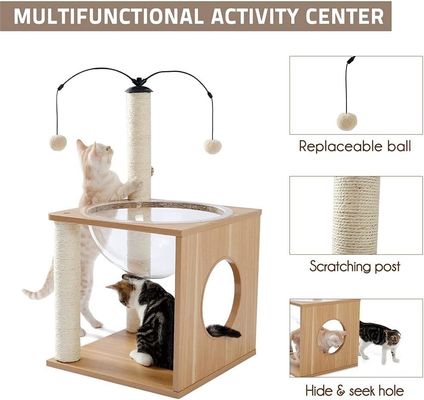 OEM ODM Geaccepteerd Elegant Katten Boom Ruimte Capsule met Drijvend Nest en Hangende Ballen