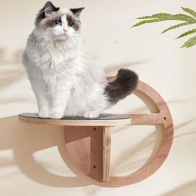 Elegante wijnverpakkingsdozen Houten katten wandtrappen Klimrakken voor opwinding