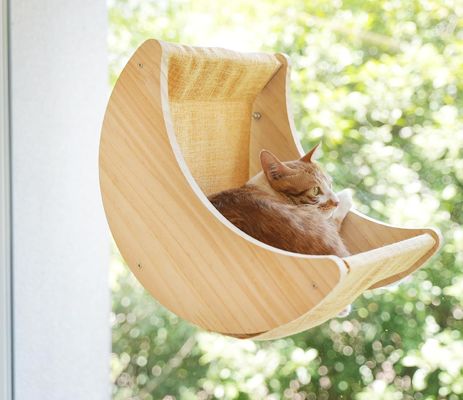 ISO9001 2008 gecertificeerd FSCI BSCI Kattenhammock-bedplanken met sterke zuigbekers