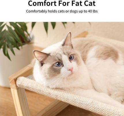 Postverpakking Y Houten kattenhammock 21 x 16,5 inch Verhoogd huisdiermeubilair Houten kleur