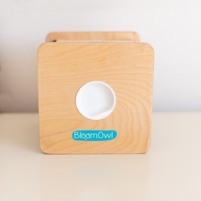 Houten gepersonaliseerde muntenbank voor kinderen OEM ODM Geaccepteerd milieuvriendelijk bamboe materiaal