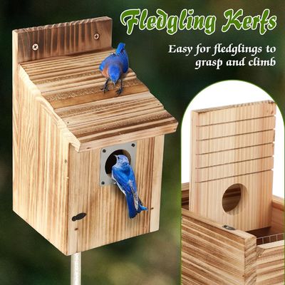 Gepersonaliseerd logo Acceptabel 2 Pack Cedar Bluebird Box Huizen voor buiten