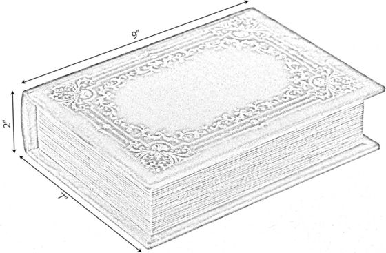 Handgemaakte houten decoratieve boekenvormige spullenbak met zijde-schermdruk/verbrand