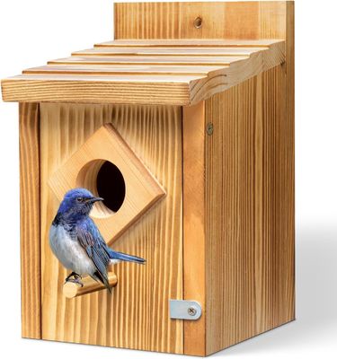 Bluebird nesting box met houten constructie en waterdichte spuitverfbehandeling