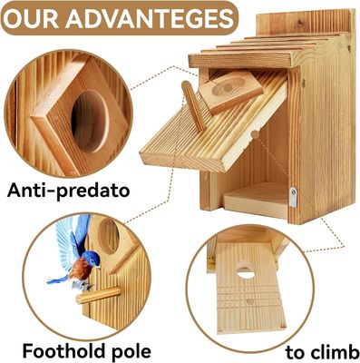 Bluebird nesting box met houten constructie en waterdichte spuitverfbehandeling