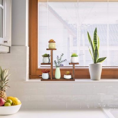 Leefruimte Display Rack voor succulente kruiden Vierkante Milieuvloerenplankhouder