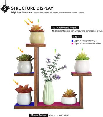 Leefruimte Display Rack voor succulente kruiden Vierkante Milieuvloerenplankhouder