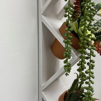 Succulent of kruidentuin Houten wandplanter in wit met aangepast logo Acceptabel