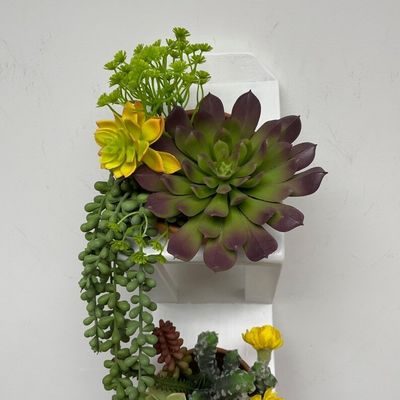 Succulent of kruidentuin Houten wandplanter in wit met aangepast logo Acceptabel