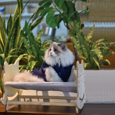 Kattenhammock met twee afneembare deksels en opgeheven houten frame aangepast logo aanvaardbaar