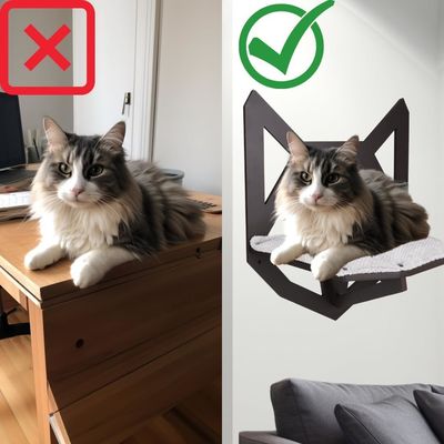Functie Ruimte besparen Wand gemonteerd kattenplank met planken