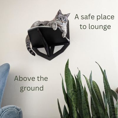Functie Ruimte besparen Wand gemonteerd kattenplank met planken