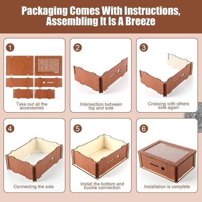 OEM/ODM Acceptabel Houten geldbesparing Geldbesparing met natuurlijke kleur en normen