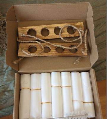 202407 Plantenvermenigvuldigingsstation voor OEM-hydroponische vaasgroeiplanten Starterstation