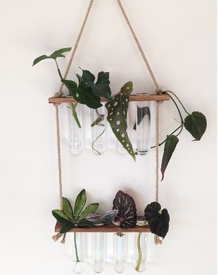 202407 Plantenvermenigvuldigingsstation voor OEM-hydroponische vaasgroeiplanten Starterstation