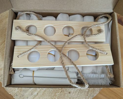 202407 Plantenvermenigvuldigingsstation voor OEM-hydroponische vaasgroeiplanten Starterstation