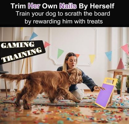 Hondennagelfilet Schraapblok Hoge hoeveelheid Voordeel voor nagels van hondennagels