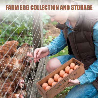 Rustieke houten eierkist voor 12 verse eieren Stapelbare op maat gemaakte ontwerpen opslagdoos