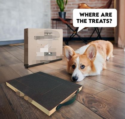 OEM-hondenkrabber met traktatie doos hondennagelkrabber met handvat katkrabber