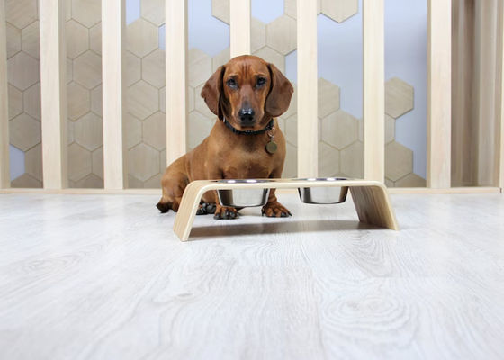 202407 Huisdierencadeau Gepersonaliseerd Houten Voedselstand met Twee Stainless Steel Schalen