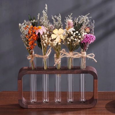 Ruimtebesparende hydrofiele planten vaas met een groot aantal voordelen in transparant glas