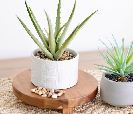 Acacia Hout Riser Ronde voetstuk Riser Board Hout voetstuk Stand voor Keuken Display