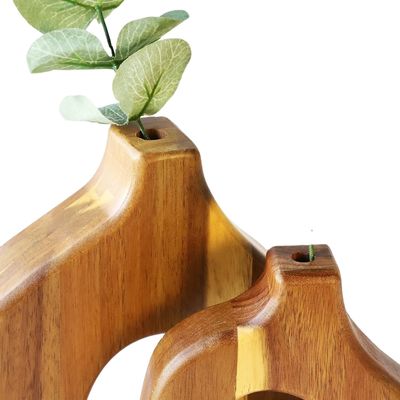 Verjaardag Gelegenheid Pine Wood Plant Stand Tiered Flower Stand voor Indoor Garden