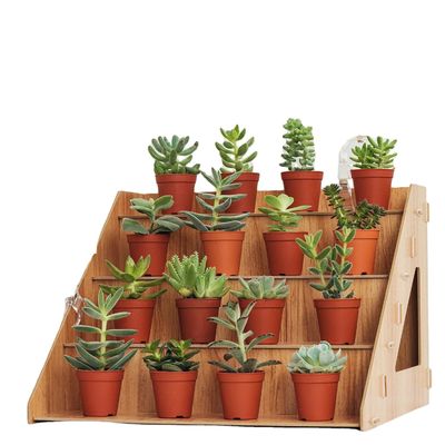Functionele houten cupcake stand voor het weergeven van cakes en planten Proefproef gratis