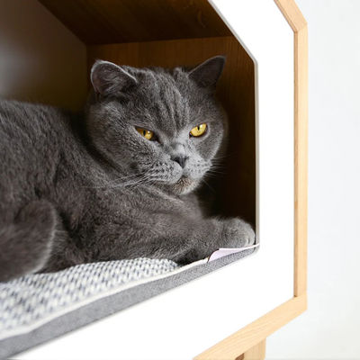Cat House in natuurlijke houten kleur met opslagcontainers