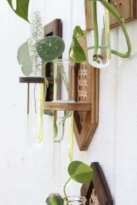 Wandhangende Boho Hydro Planter Wandplanter met zijde-schermprinten/Burned