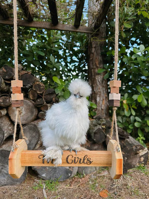 Kippen speelgoed Wand gemonteerde kattenboel geschikt voor katten en dieren