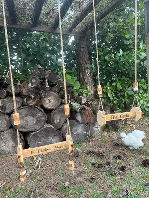 Kippen speelgoed Wand gemonteerde kattenboel geschikt voor katten en dieren