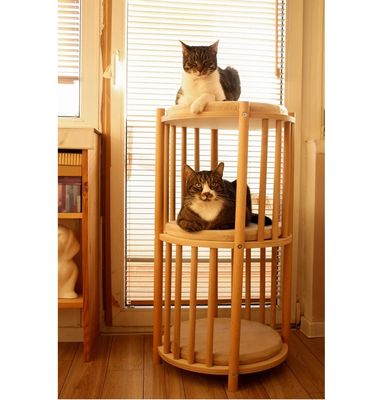 Functie Ruimte besparen Massivhouten poesje nest 2 Tier Kattenmeubelen Boom Kattenhuis Grot Bed