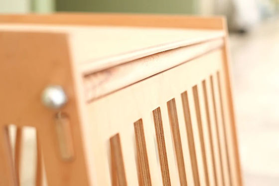 Houten huis voor honden en katten met een witte deur