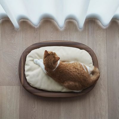 Gewoon houten doos rechthoekig huisdierbed met anti-glij-ontwerp en makkelijke verzorgingsstructuur