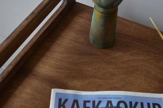 Innenhuis moet ruimte besparen met luxe sloop Houten hondenkist meubilair