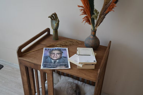 Innenhuis moet ruimte besparen met luxe sloop Houten hondenkist meubilair