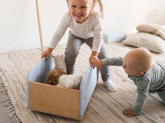 Houten speelgoeddoos op wielen aangepast op uw verzoek voor kinderen speelgoed organisatie