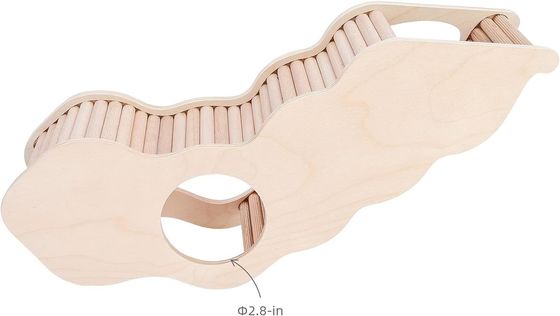 Voorbeeld Gratis houten hamsterhuis met klimladder en geheime kijktunnel