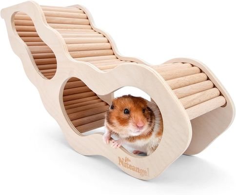 Voorbeeld Gratis houten hamsterhuis met klimladder en geheime kijktunnel