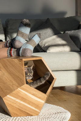 Huishoudelijke opslagcontainer Kattenbed Grot in modern ontwerp met massief hout en zijtafel