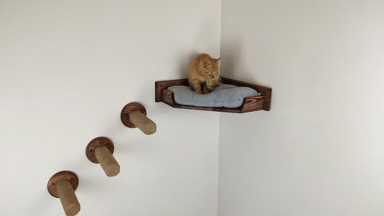 Huishoudelijk wandmontage kat speelhuis met toren kattenbed in natuurlijke houtkleur