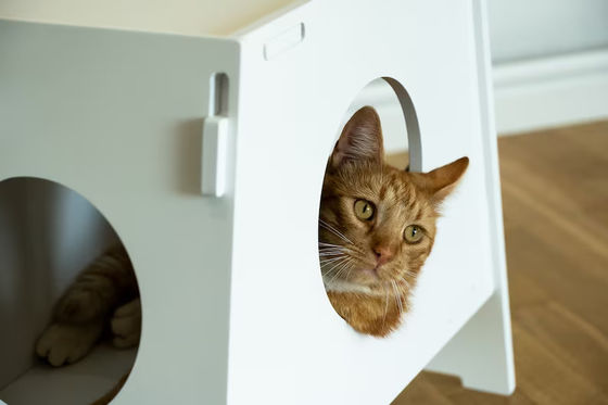 Houten kruk Huishoudelijk apparaat Moderne binnenhuis huisdier kooi Huis voor honden en katten Woonkamer