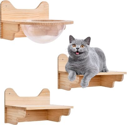Wandmontage houten kattenruimte capsule huis doorzichtige meubelset voor binnenkatten