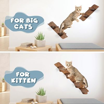 Zeg afscheid van rommelige vloeren Wand gemonteerde kattenvoederplank met ladder en 2 kommen