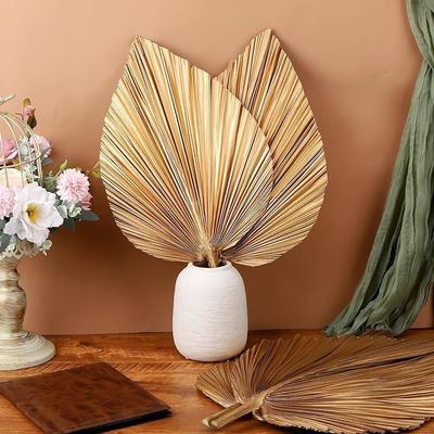 Vitalucks Logo milieuvriendelijk composteerbaar hand 4 stuks groot natuurlijk goud gedroogde palmbladeren