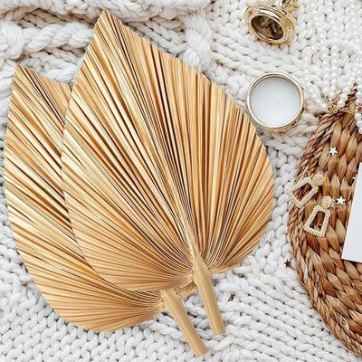 Vitalucks Logo milieuvriendelijk composteerbaar hand 4 stuks groot natuurlijk goud gedroogde palmbladeren