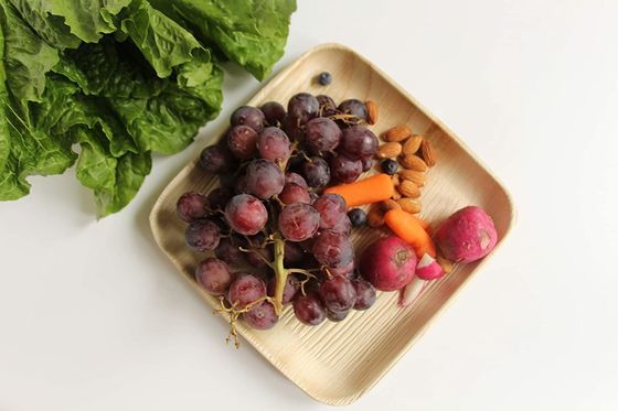 10 stukken set van palmbladen voor bruiloftsdiner Ronde en vierkant wegwerpgerechten